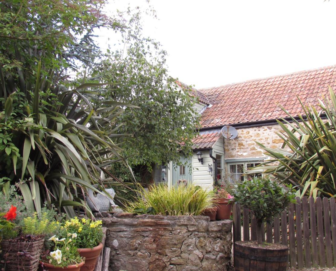 Chiddy Nook Cottage Chideock Exterior foto